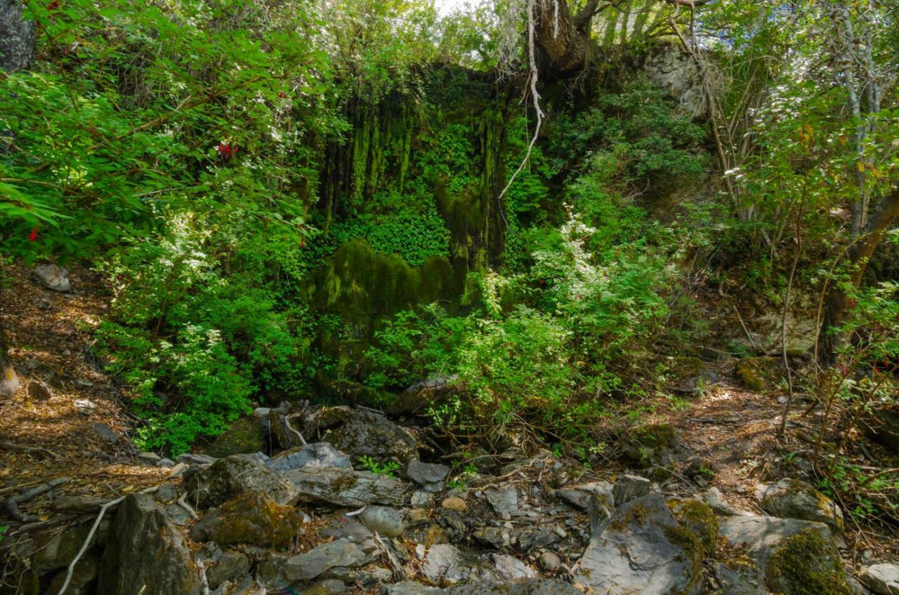 منزل الضيف بويرتو غوادال  في Peninsula Bahia Catalina المظهر الخارجي الصورة