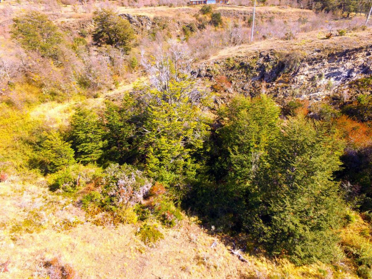 منزل الضيف بويرتو غوادال  في Peninsula Bahia Catalina المظهر الخارجي الصورة